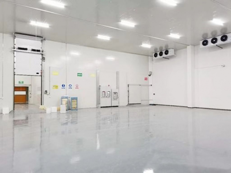 案例展示
