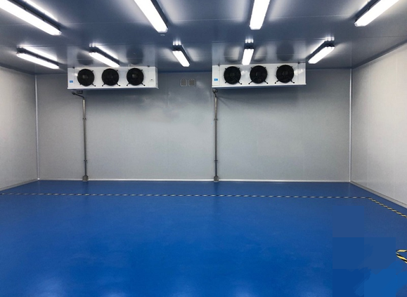 案例展示
