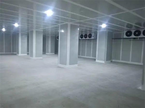 案例展示